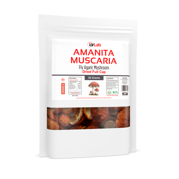 Amanita Muscaria - Image 2